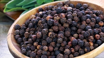 Cập nhật giá hồ tiêu hôm nay 26/9/2021: Chưa có biến động