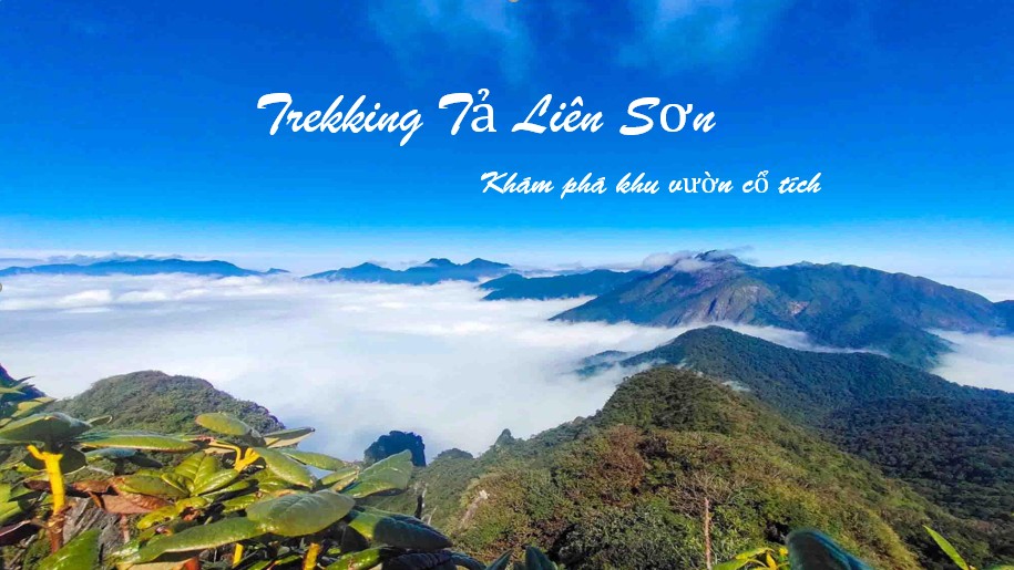 Trekking Tả Liên Sơn – Khám phá khu rừng cổ tích