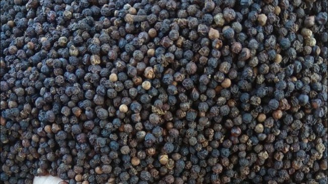 Cập nhật giá hồ tiêu hôm nay 01/10/2021: Ổn định