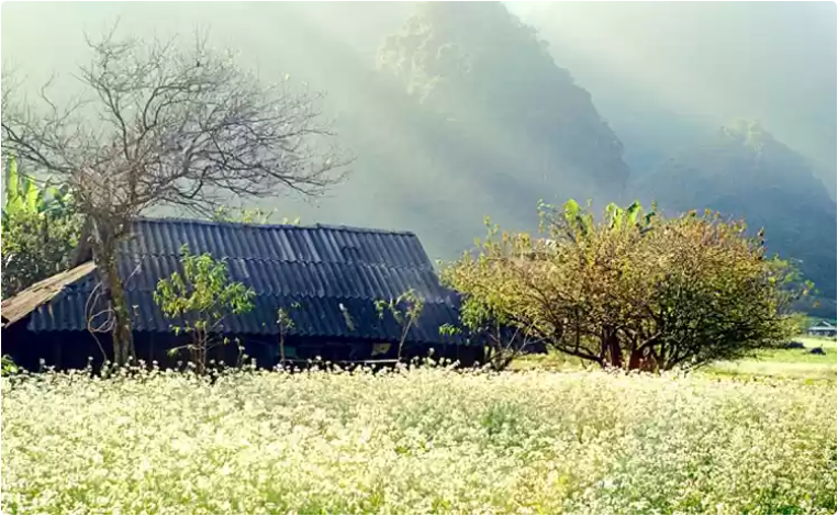 Bản Thung Cuông Mộc Châu - Ảnh- tourmocchau