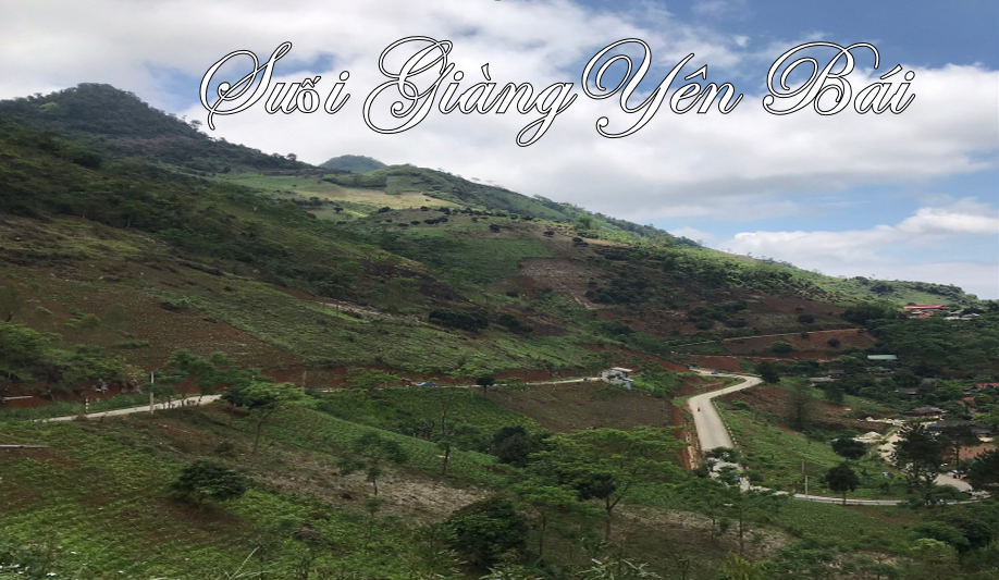 Ghé thăm Suối Giàng - Vẻ đẹp bình dị nơi bản cao Yên Bái