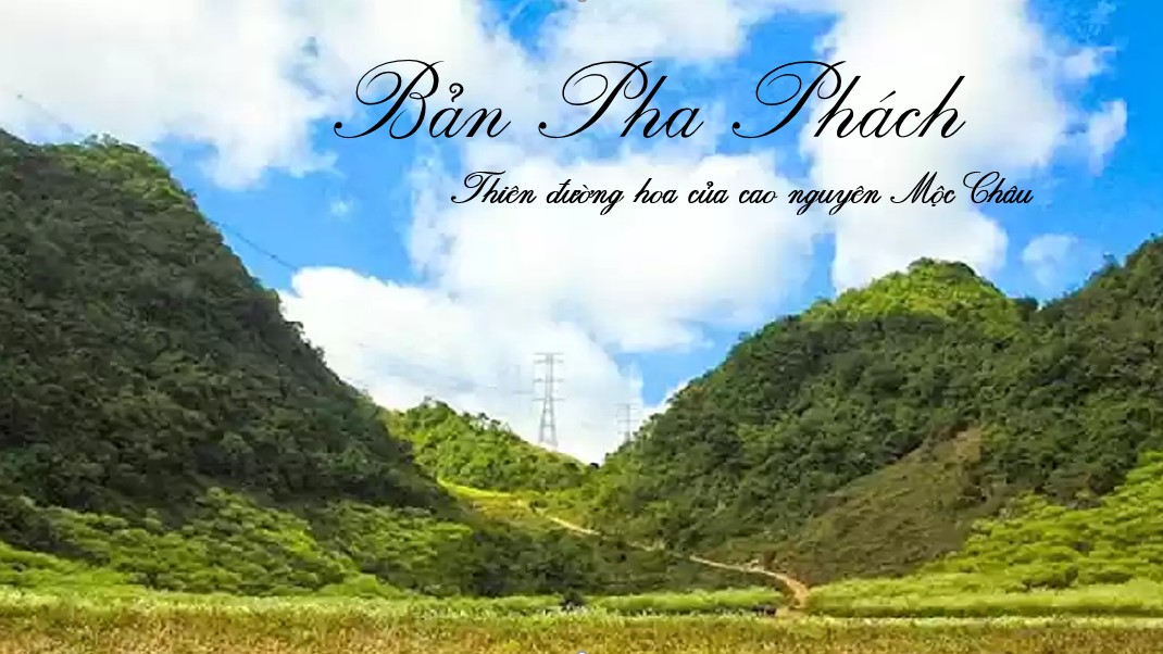 Khám phá bản Pa Phách - “Thiên đường hoa” của cao nguyên Mộc Châu