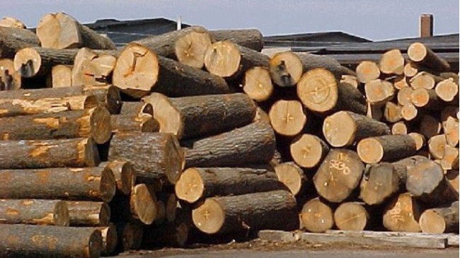 Truy xuất nguồn gốc lâm sản theo Thông tư số 27