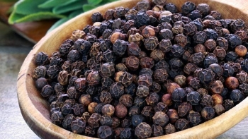 Cập nhật giá hồ tiêu hôm nay 21/10/2021: Quay đầu đi xuống