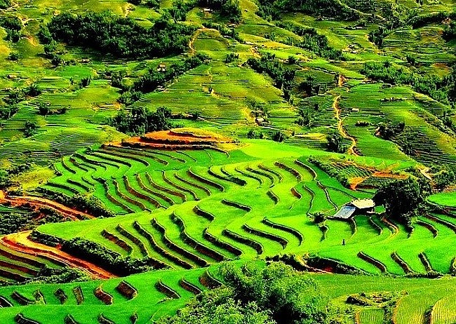 Thác Bạc - Cây vĩ cầm giữa núi rừng Sapa