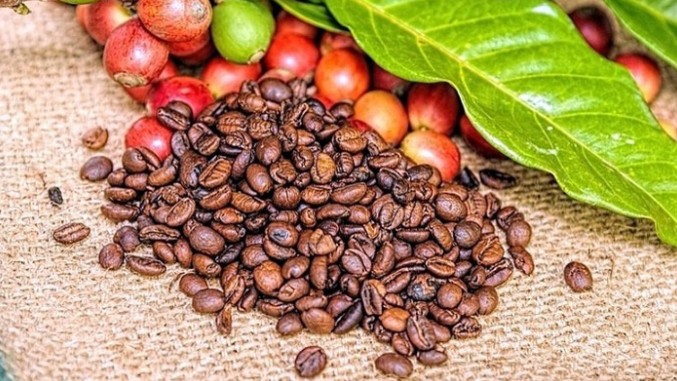 Cập nhật giá cà phê hôm nay 27/10/2021: Tiếp đà tăng