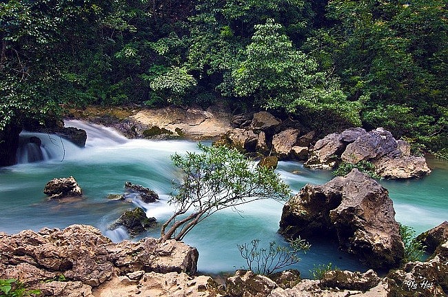 Suối Lê Nin - Trái tim xanh của núi rừng Pác Bó Suối Lê Nin - Trái tim xanh của núi rừng Pác Bó