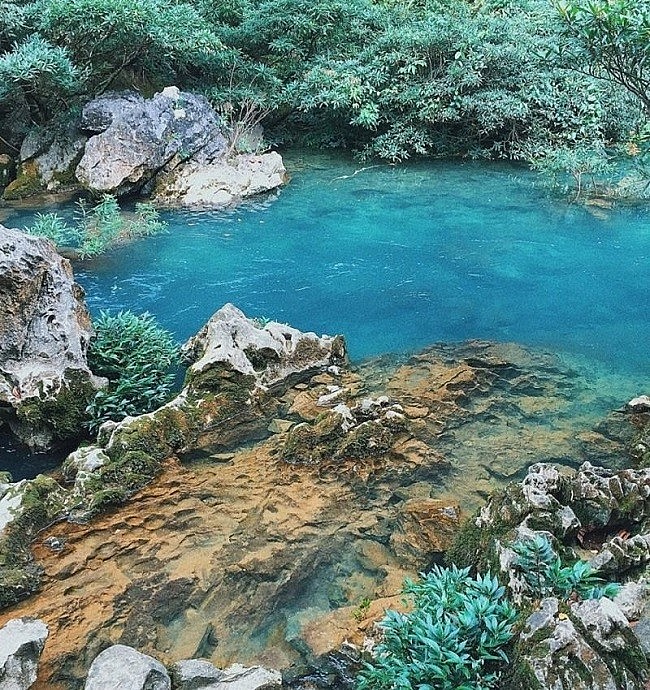 Suối Lê Nin - Trái tim xanh của núi rừng Pác Bó Suối Lê Nin - Trái tim xanh của núi rừng Pác Bó