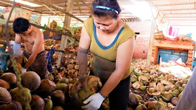 Đã đề xuất bổ sung hỗ trợ cho người lột dừa mướn