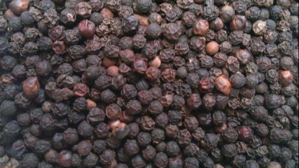 Cập nhật giá hồ tiêu hôm nay 01/11/2021: Chưa xuất hiện điều chỉnh