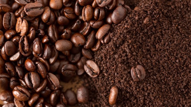 Cập nhật giá cà phê hôm nay 02/11/2021: Bật tăng trở lại