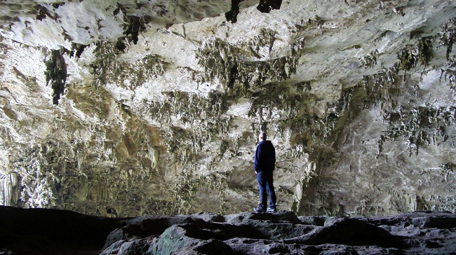 Du khách có thể nhìn thấy nhìn bầy dơi đu bám trên nóc động Puông. - Ảnh: Team Yeah