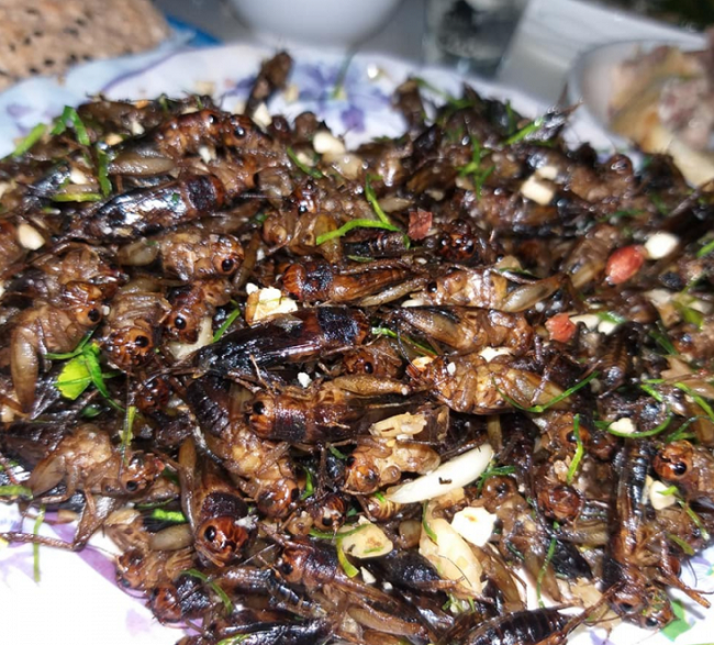 Chinh phục thác Háng Tề Chơ - một trong "tứ đại tử địa" của nú rừng Tây Bắc