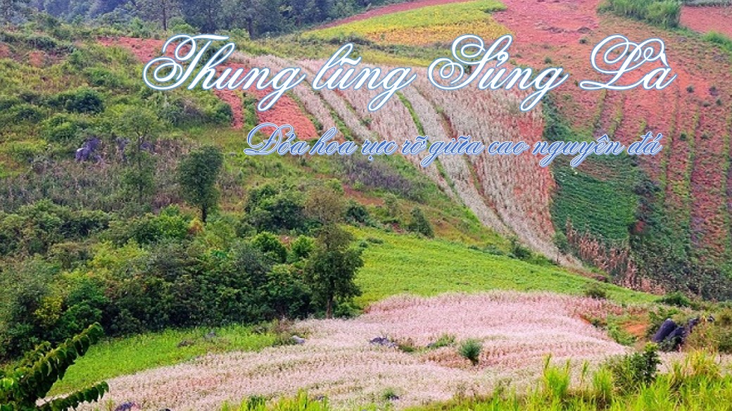 Về Thăm thung lũng Sủng Là –  đóa hoa rực rỡ giữa cao nguyên đá