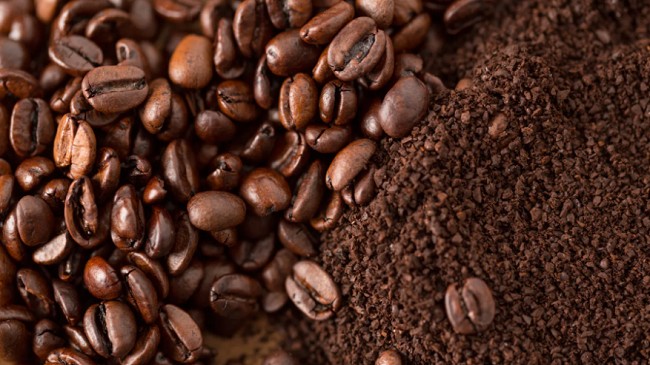 Cập nhật giá cà phê hôm nay 14/11/2021: Tăng 600 - 700 đồng/kg trong tuần