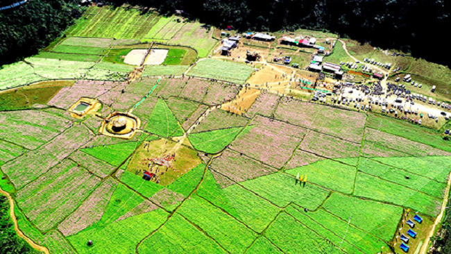 Khám phá thung lũng hoa Bắc Sơn - Thiên đường hoa của xứ Lạng