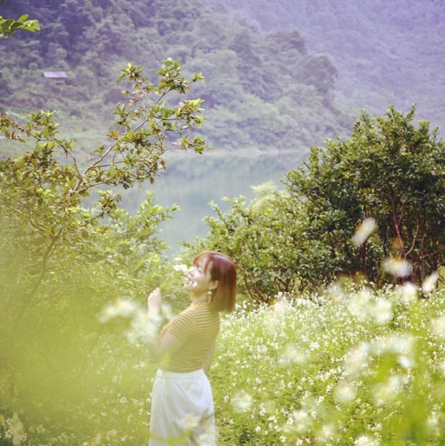 Cảnh sắc hồ được điểm xuyết bởi vẻ đẹp dịu dàng của hoa xuyến chi - Ảnh- IG heydi.pham