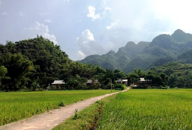 Tham quan bản Lác – Trải nghiệm sự độc đáo và bình yên của núi rừng Tây Bắc