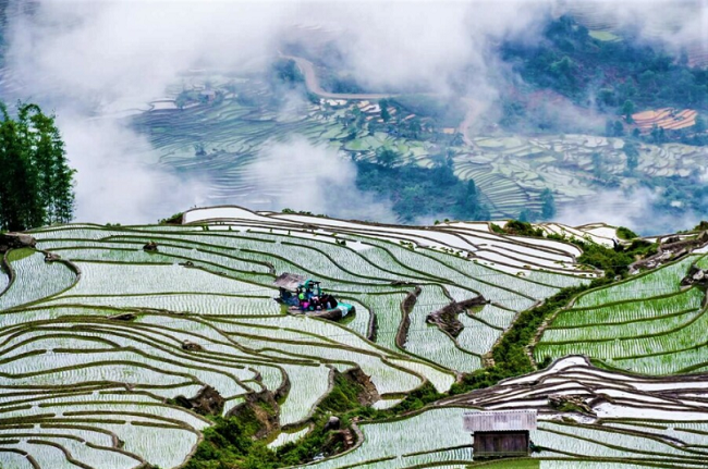 Review Sapa: Về thăm thung lũng Mường Hoa – Viên ngọc quỹ giữa núi rừng Tây Bắc