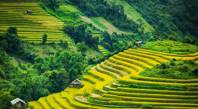 Review Sapa: Về thăm thung lũng Mường Hoa – Viên ngọc quỹ giữa núi rừng Tây Bắc