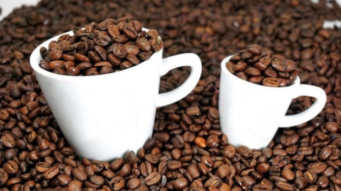 Cập nhật giá cà phê hôm nay 01/12/2021: Thị trường ổn định