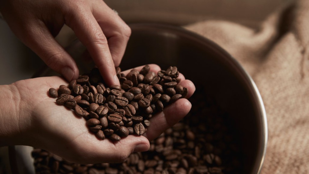 Cập nhật giá cà phê hôm nay 03/12/2021: Tiếp tục tăng