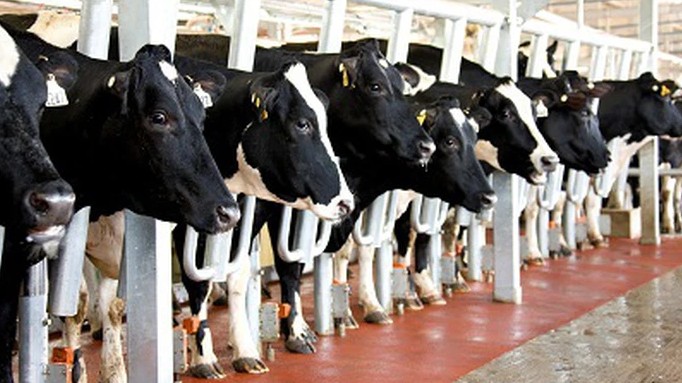 Hỗ trợ đầu tư nông nghiệp ứng dụng công nghệ cao