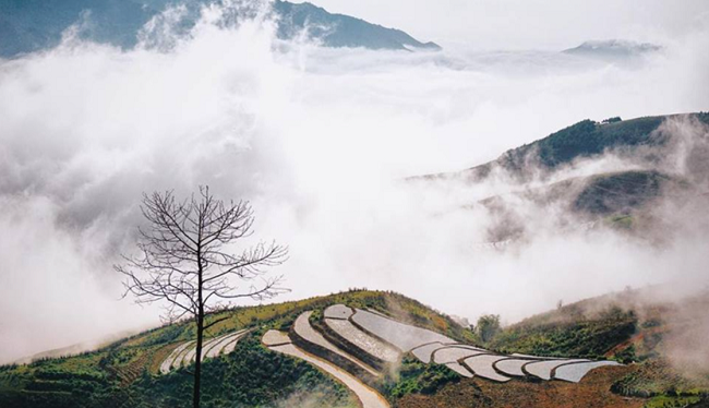 Khám phá Tà Xùa – Thiên đường mây ở Sơn La