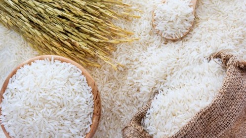 Cập nhật giá lúa gạo hôm nay 10/12/2021: Chưa xuất hiện điều chỉnh