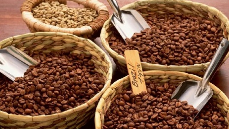 Cập nhật giá cà phê hôm nay 13/12/2021: Lặng sóng ngày đầu tuần