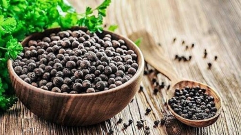 Cập nhật giá hồ tiêu hôm nay 13/12/2021: Đứng yên ngày đầu tuần