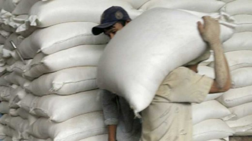 Công việc bốc vác có trong danh mục được hỗ trợ?