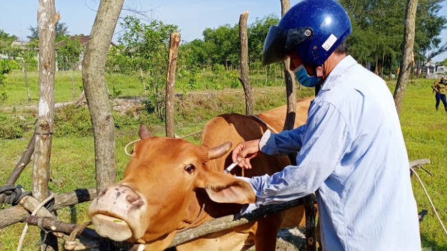 Nguyên tắc, điều kiện hỗ trợ lao động tự do tại Trà Vinh