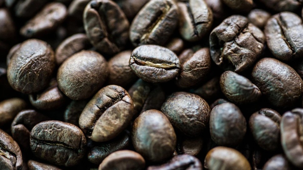 Cập nhật giá cà phê hôm nay 15/12/2021: Quay đầu tăng nhẹ