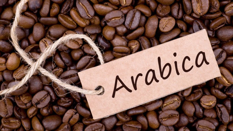 Cập nhật giá cà phê hôm nay 21/12/2021: Quay đầu giảm nhẹ