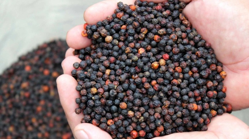 Cập nhật giá hồ tiêu hôm nay 23/12/2021: Giảm 500 đồng/kg tại một số khu vực