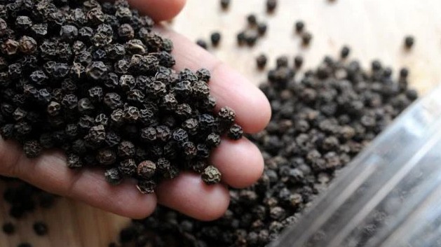 Cập nhật giá hồ tiêu hôm nay 26/12/2021: Duy trì ổn định