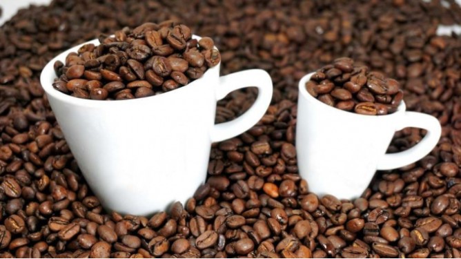 Cập nhật giá cà phê hôm nay 28/12/2021: Xu hướng giảm nhẹ