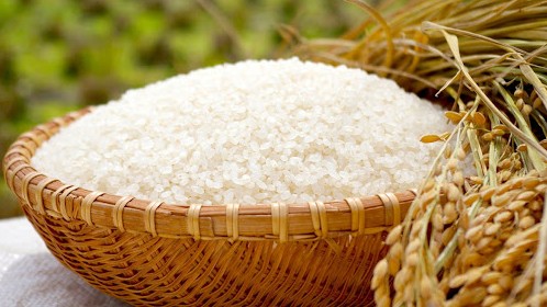 Cập nhật giá lúa gạo hôm nay 28/12/2021: Giảm từ 100 - 500 đồng/kg