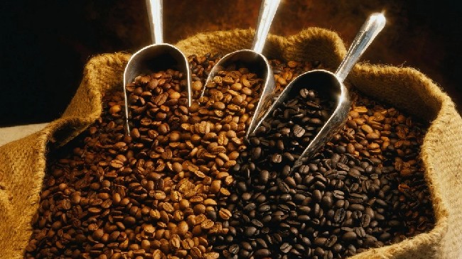 Cập nhật giá cà phê hôm nay 30/12/2021: Đảo chiều tăng