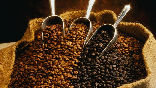 Cập nhật giá cà phê hôm nay 30/12/2021: Đảo chiều tăng