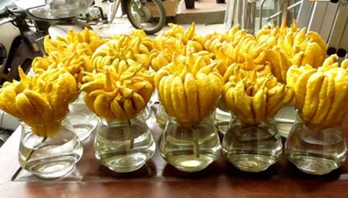 Loại quả nhiều tay không chỉ mang ý nghĩa may mắn mà còn tốt cho sức khỏe