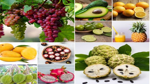 10 loại quả “cực tốt” nếu ăn vào ban ngày, nhưng lại “cực hại” nếu ăn vào ban đêm