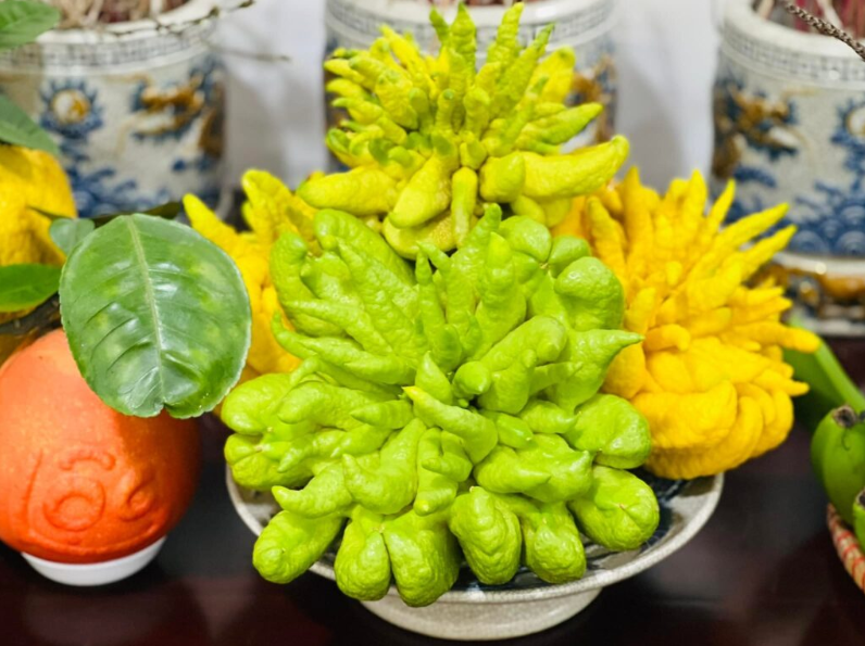 Loại quả nhiều tay không chỉ mang ý nghĩa may mắn mà còn tốt cho sức khỏe