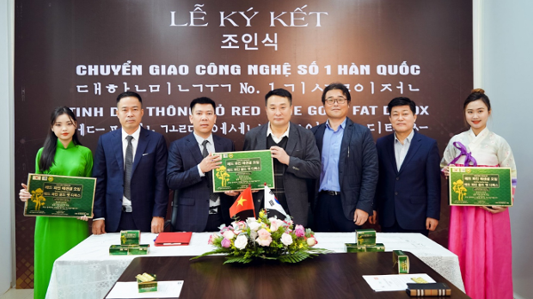 Tinh dầu thông đỏ - Giải pháp phòng chống đột quỵ, điều hòa huyết áp