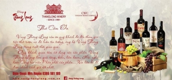 Trải Nghiệm Văn Hóa Vang Tại Thăng Long Winery