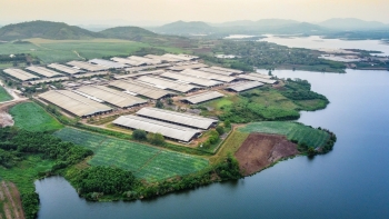 Giải thưởng Chất lượng quốc tế vinh danh nhà sản xuất sữa tươi sạch từ đồng đất Việt