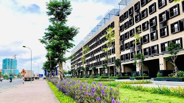 Lợi nhuận quý 3/2021 gấp ba lần cùng kỳ, IDJ Việt Nam – tiềm năng hay nhất thời?