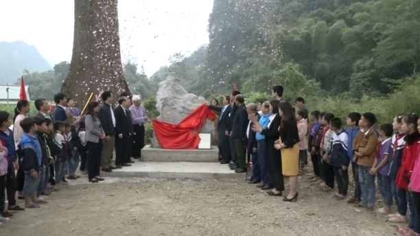 Cây gạo trên 500 năm ở Cao Bằng được công nhận là Cây di sản Việt Nam