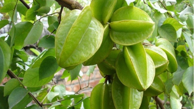 Công dụng làm đẹp bất ngờ từ quả khế